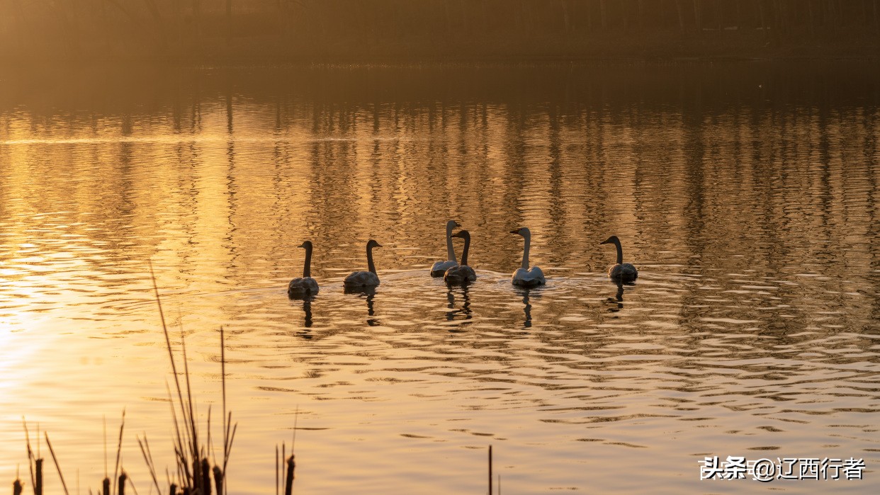 漫步天使乐园(旅拍)