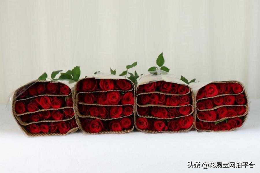 鲜花分级标准依据有哪些,鲜花种类等级排名