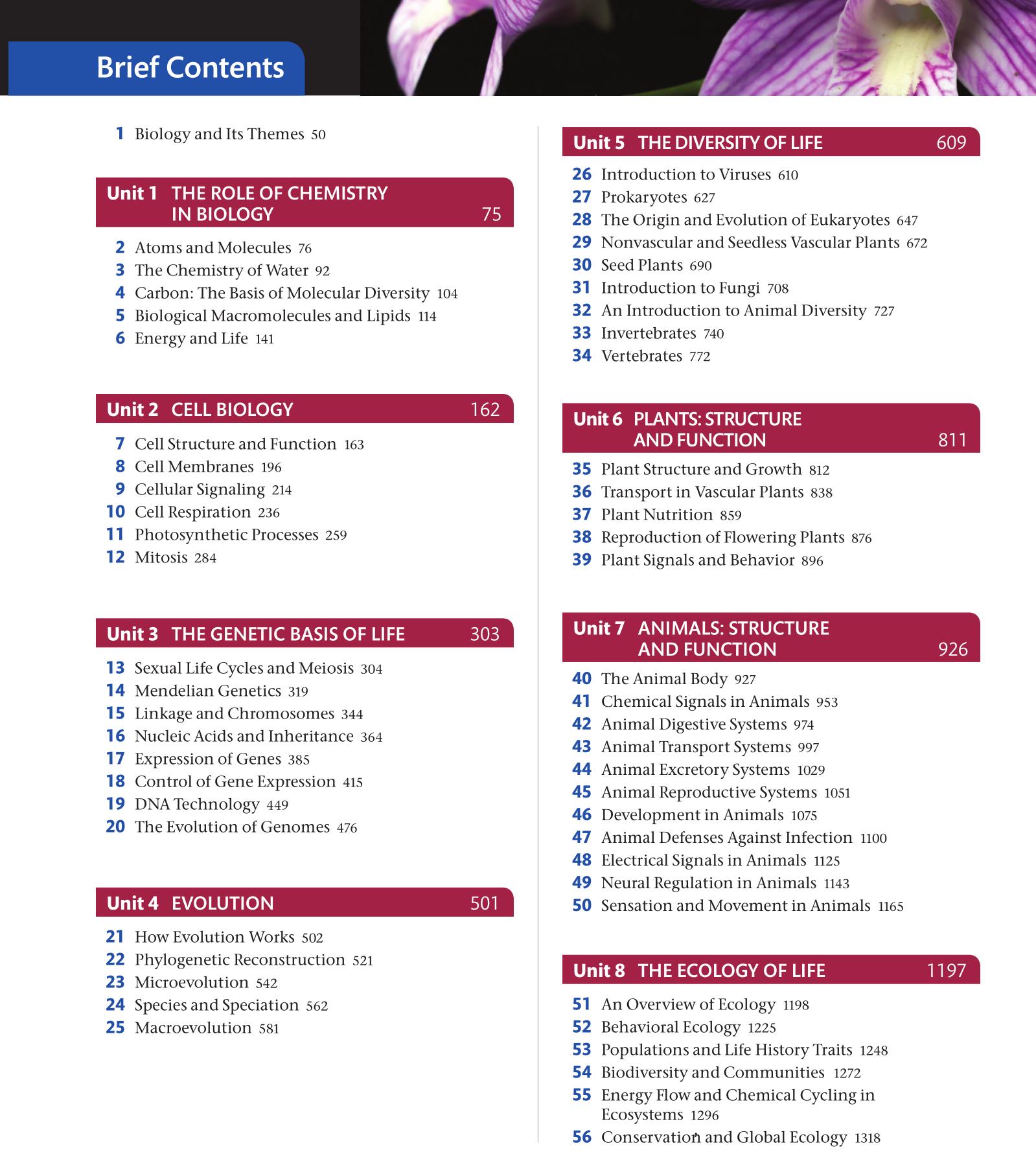 小学英语900单词1到6年级,小学英语900个常用词