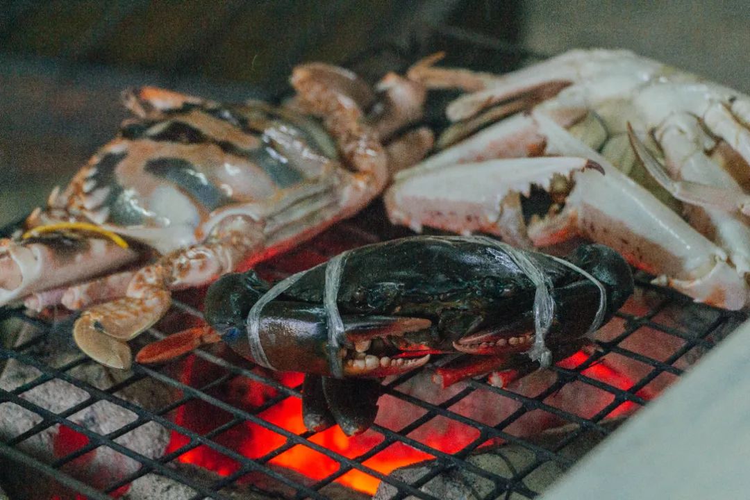 鍘绘嘲鍥芥浖璋峰拰鑺彁闆呯殑鏀荤暐,鍘绘嘲鍥界帺杞浖璋疯姯鎻愰泤
