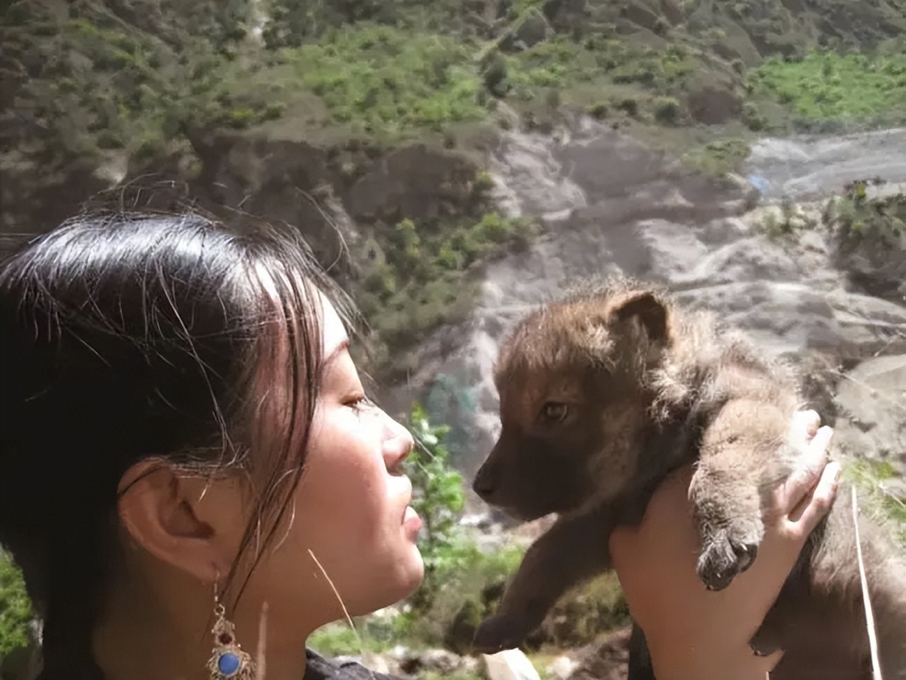 成都画家在草原写生收养狼的故事,成都女青年画家意外收养一只幼狼