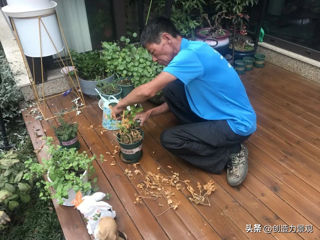 周末回访老客户的文案,回访老客户的主题