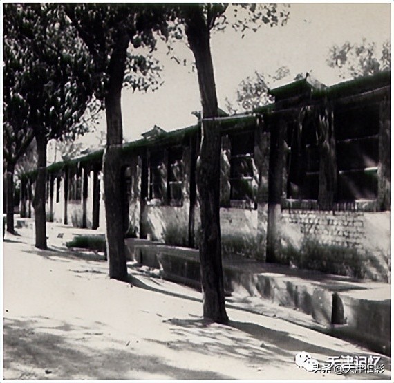 天津一中奖状,天津一中校徽图片