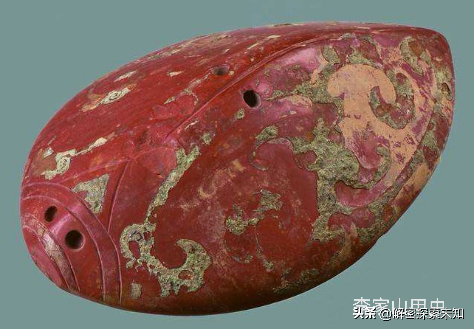 甲虫进化史讲解,甲虫进化史哪些虫真实存在