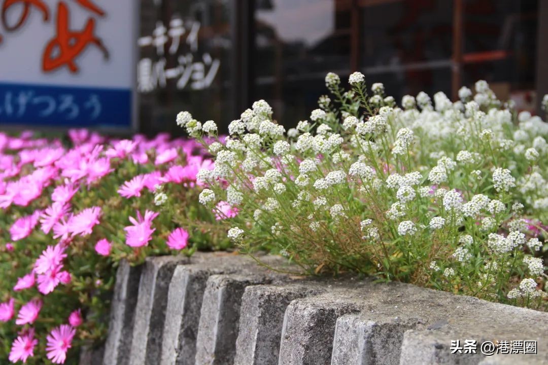 在香港做客服,去香港做客服