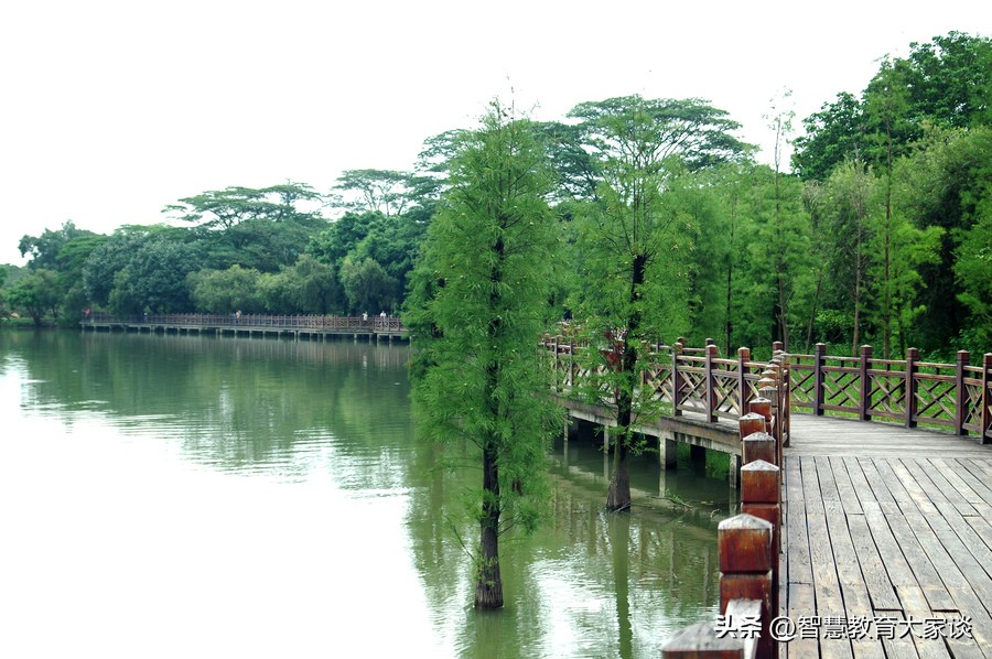 家庭对培养孩子责任感的重要作用,培养孩子养成家庭责任感