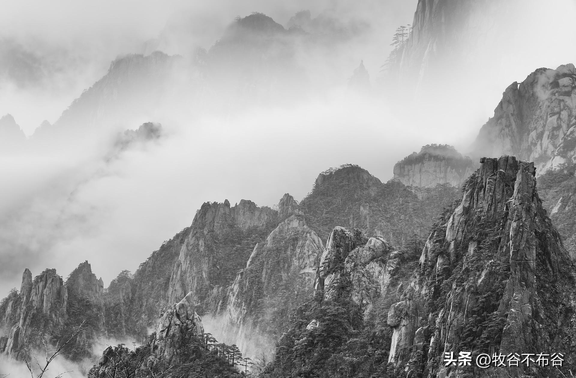 东风杨柳欲青青烟淡雨初晴,东风杨柳欲青青烟淡雨初晴朗诵