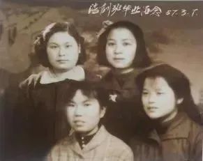 成都公交进化史,成都公交的发展史简介