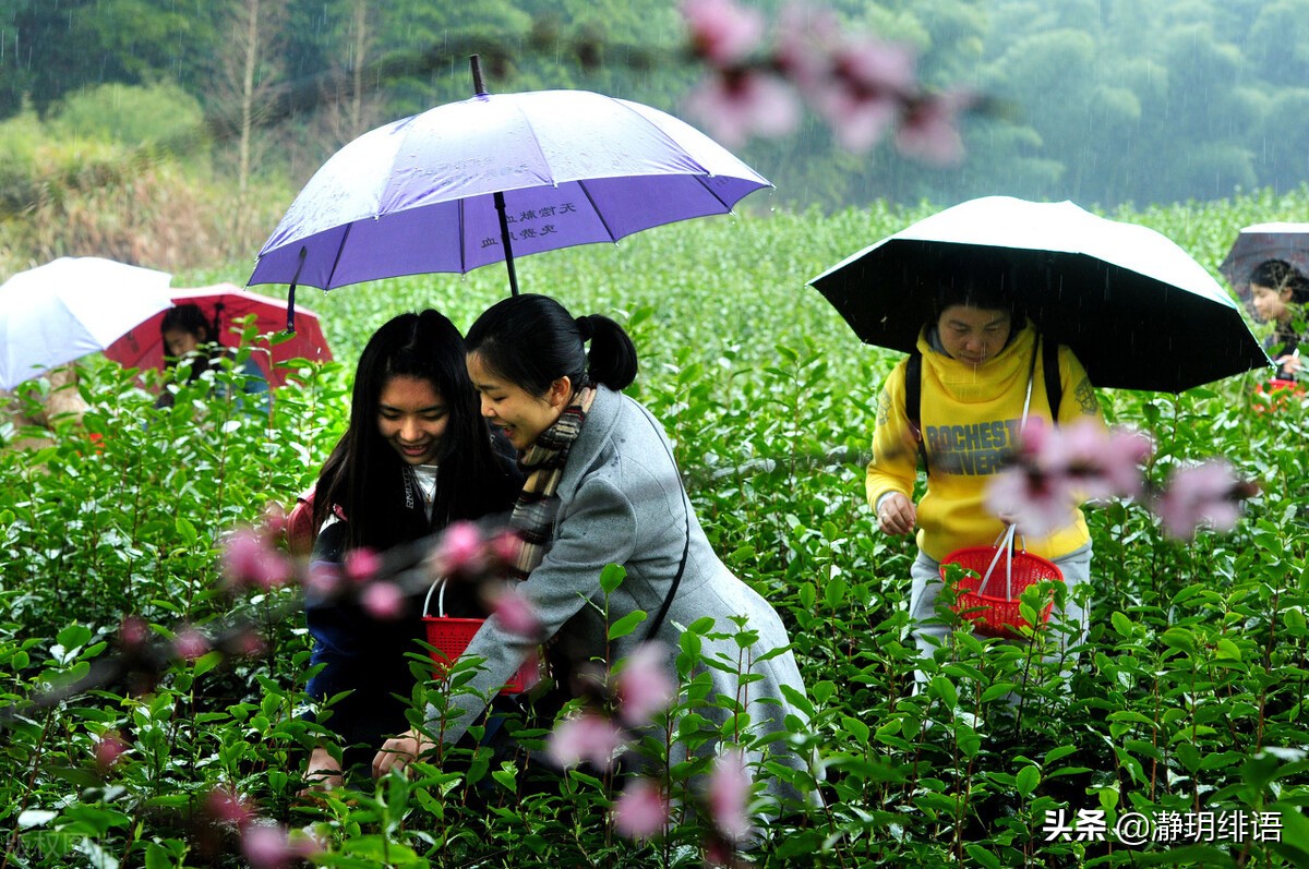 朋友二婚没办酒席要随礼吗,二婚请客朋友随礼吗