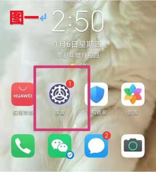 【青岛贝壳智慧助老】手机设置里有些步骤我老是找不到怎么办?