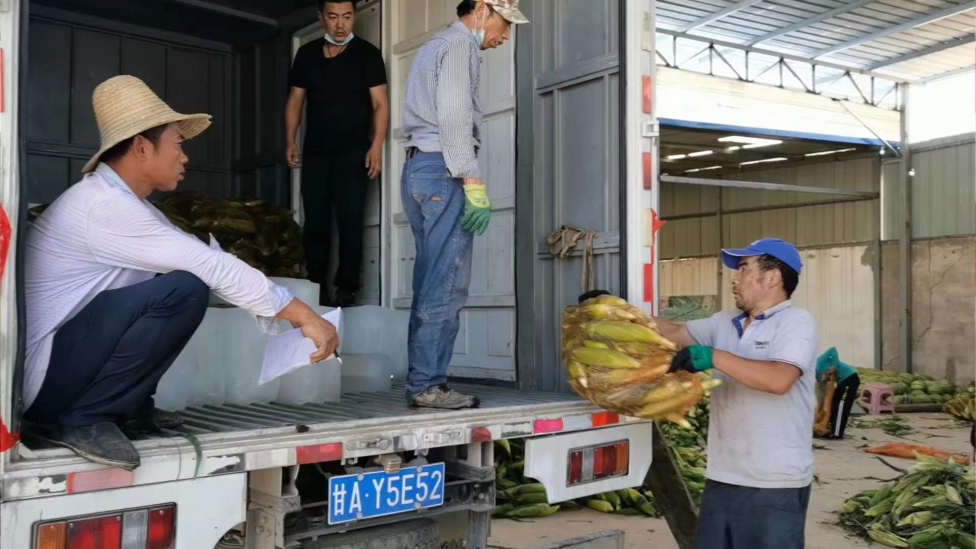 助农增收服务活动,产业帮扶有质量助农增收有底气