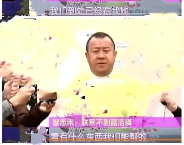 蓝洁瑛案件最新结果,蓝洁瑛被侵案嫌疑人简介