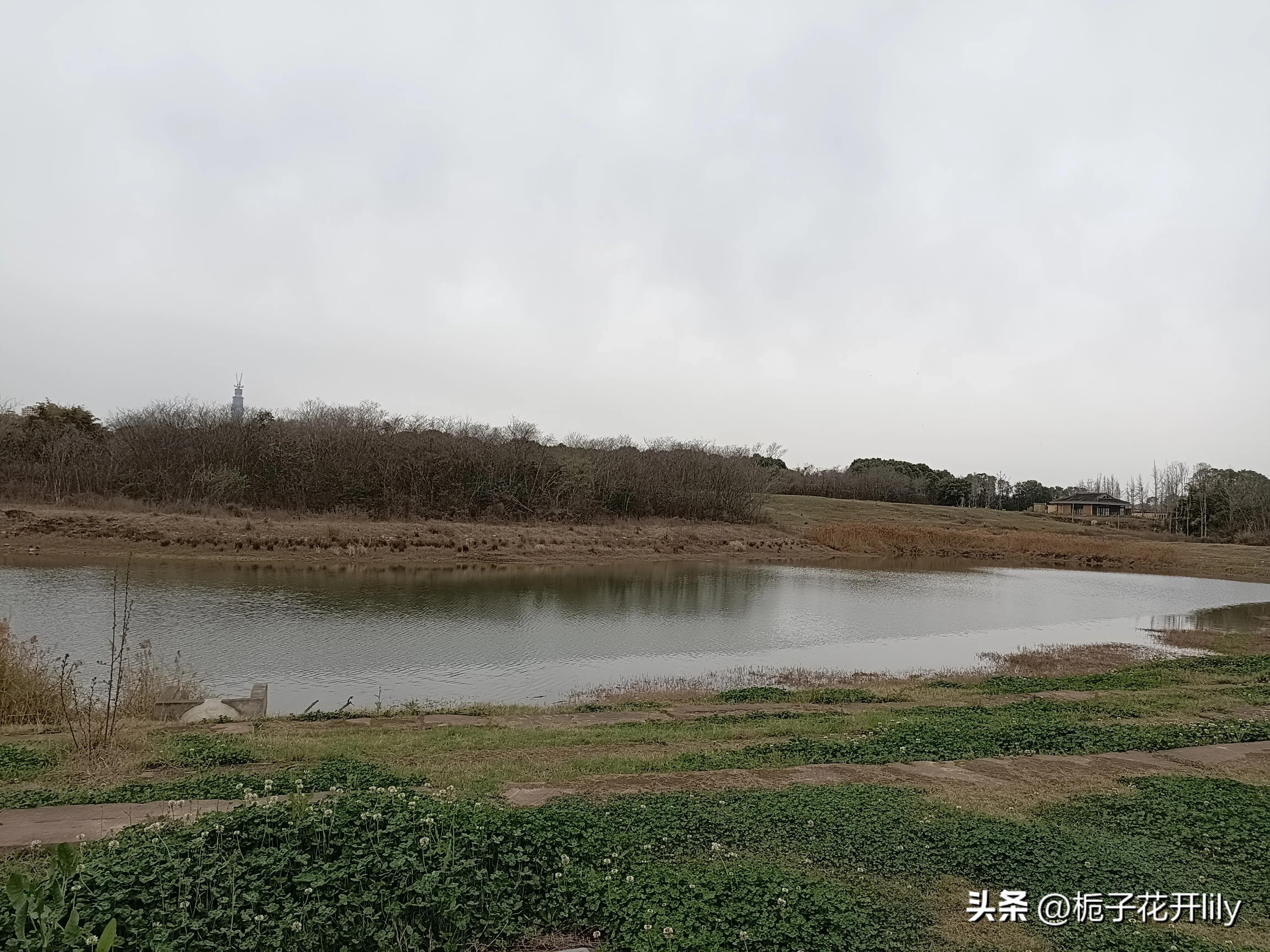 这周末可以在成都哪些地方玩,周末成都有哪些值得去的地方