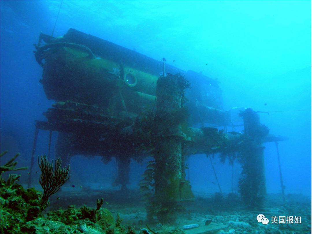 55岁美国教授海底生活95天,美国教授水下挑战