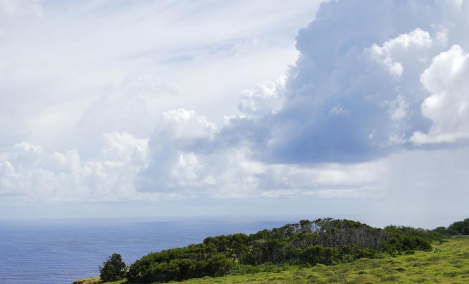 美国的旅游经济发展模式,全球旅游电子商务发展概况