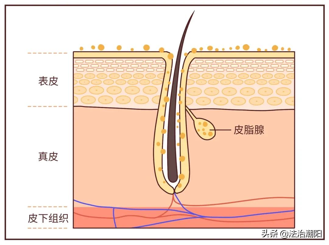 手指长倒刺缺乏哪种维生素,宝宝手指倒刺是缺什么维生素