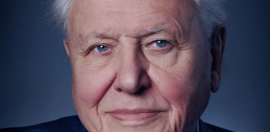 报告中快速提高语文能力的方法,用最好的方法提升英语口语