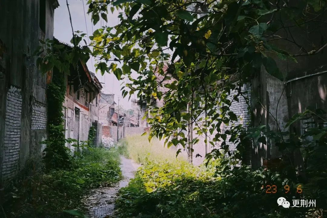 沙市胜利街拆了修什么,沙市区老胜利街视频