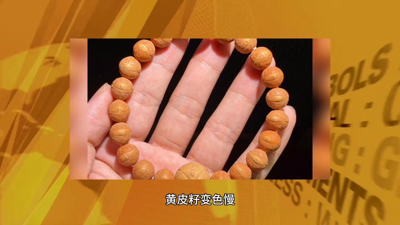 怎么挑选好的凤眼菩提果,凤眼菩提怎么选最好