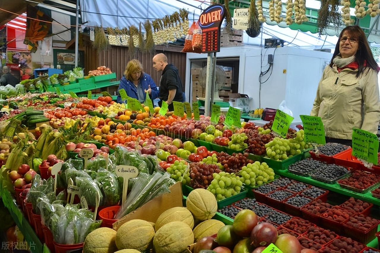 华人在多伦多真实生活,华人在加拿大的真实生活