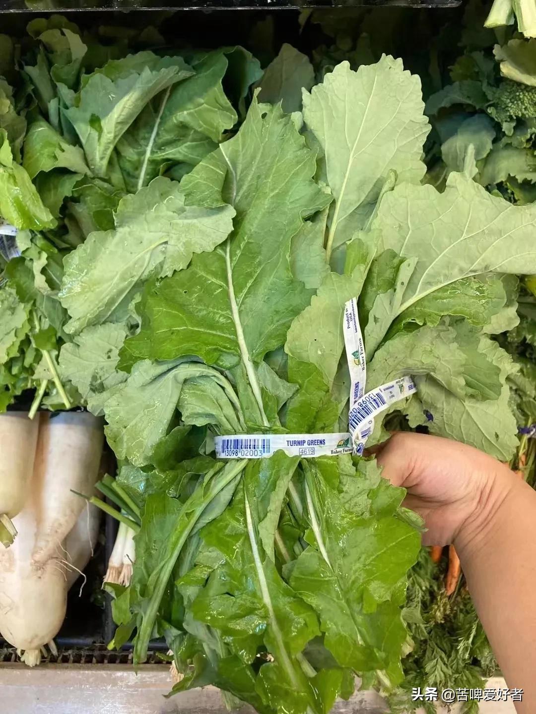 小时候割猪草,小时候割喂猪的猪草都叫什么