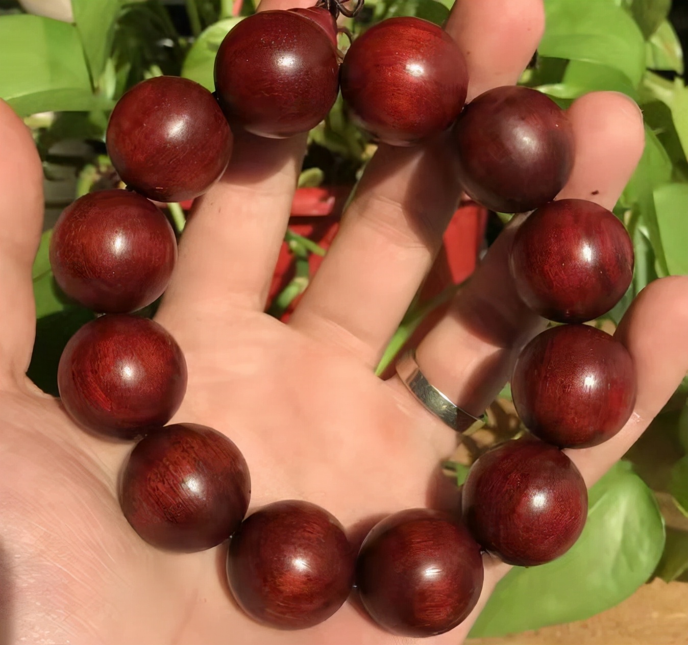 印度小叶紫檀，非洲小叶紫檀，大叶紫檀，你分得清吗？买得对吗？