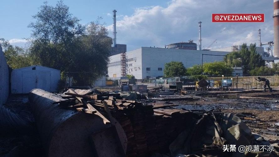 想输都难了怎么办,想输都难的原因