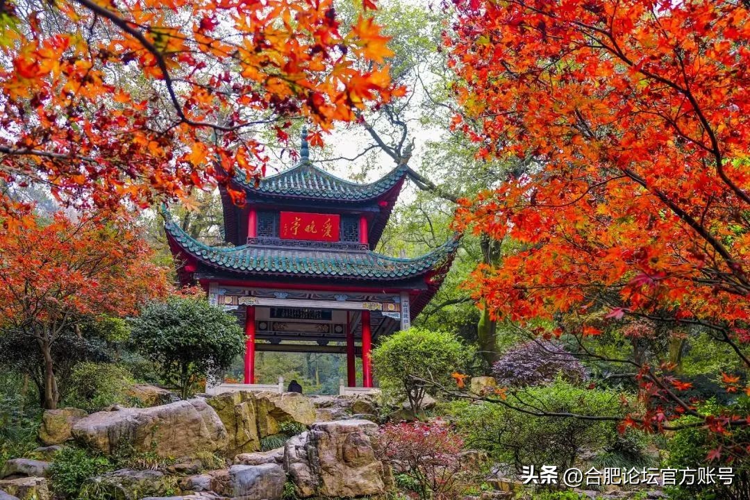 十一月合肥去哪里的机票最便宜,今年11月合肥特价机票