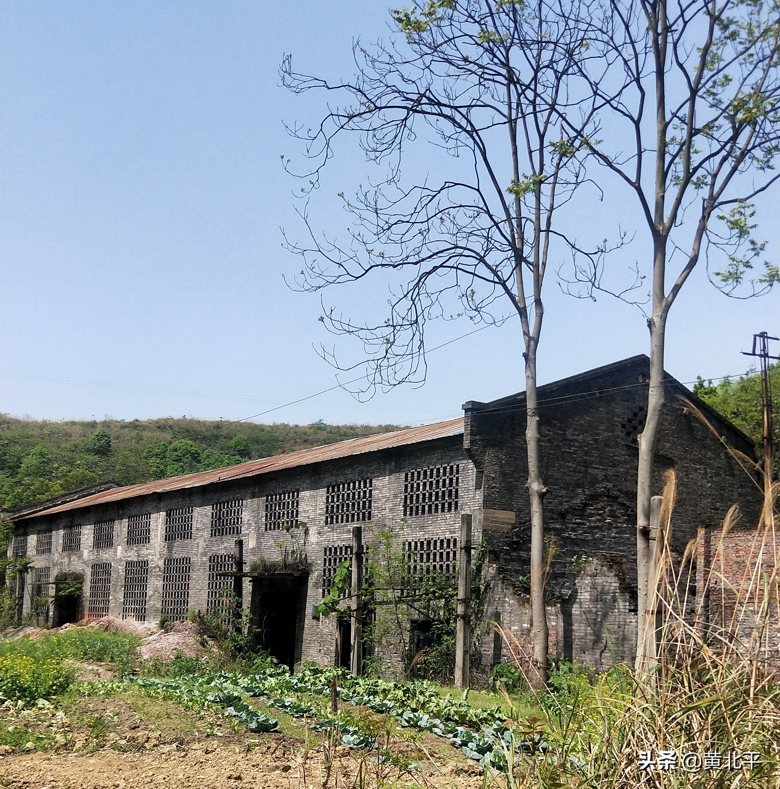 北碚刘家沟煤矿,天府矿务局刘家沟煤矿历史