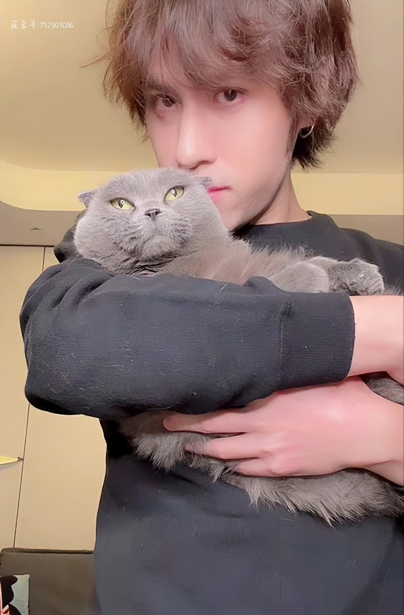 映客盛典现场,2018映客盛典直播