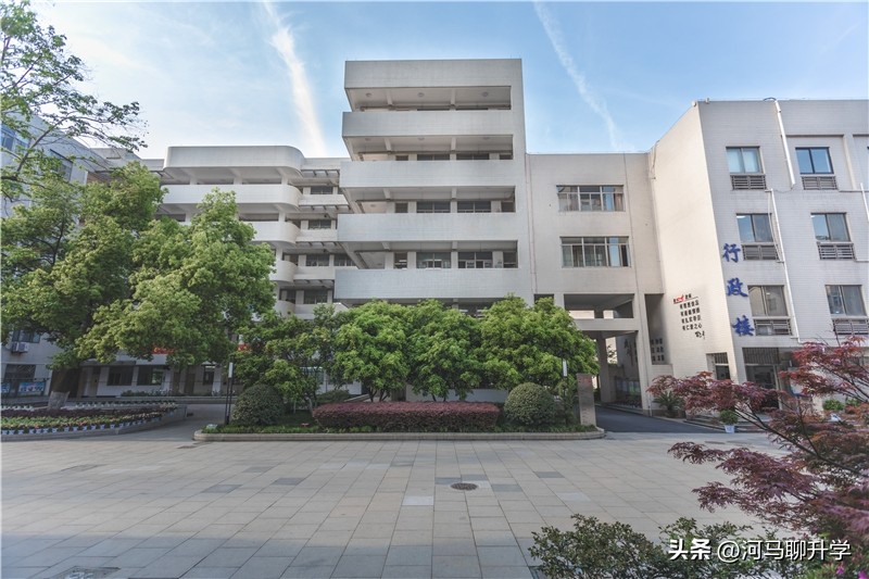 浙江的中本一体到底好不好,2023届浙江中考中本一体