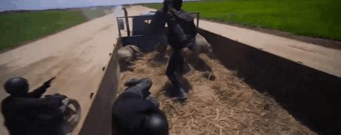 开局就赤身肉搏，这“抗疫神片”突破底线，耗资过亿只配五星差评