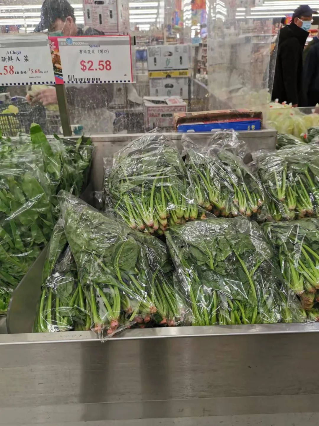 移民多伦多需要什么,移民多伦多做什么