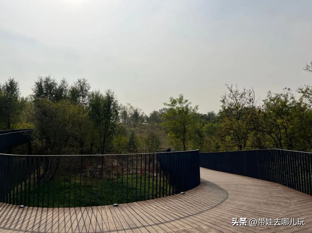 藏在二环的超小众免费公园,免费游玩的小公园