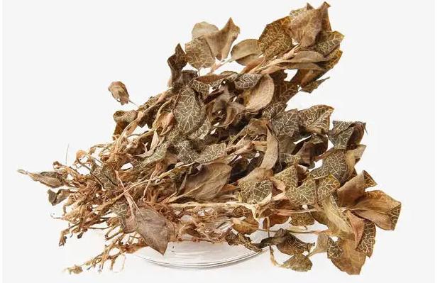 金线莲四季都可以吃,一家大小适合喝的汤