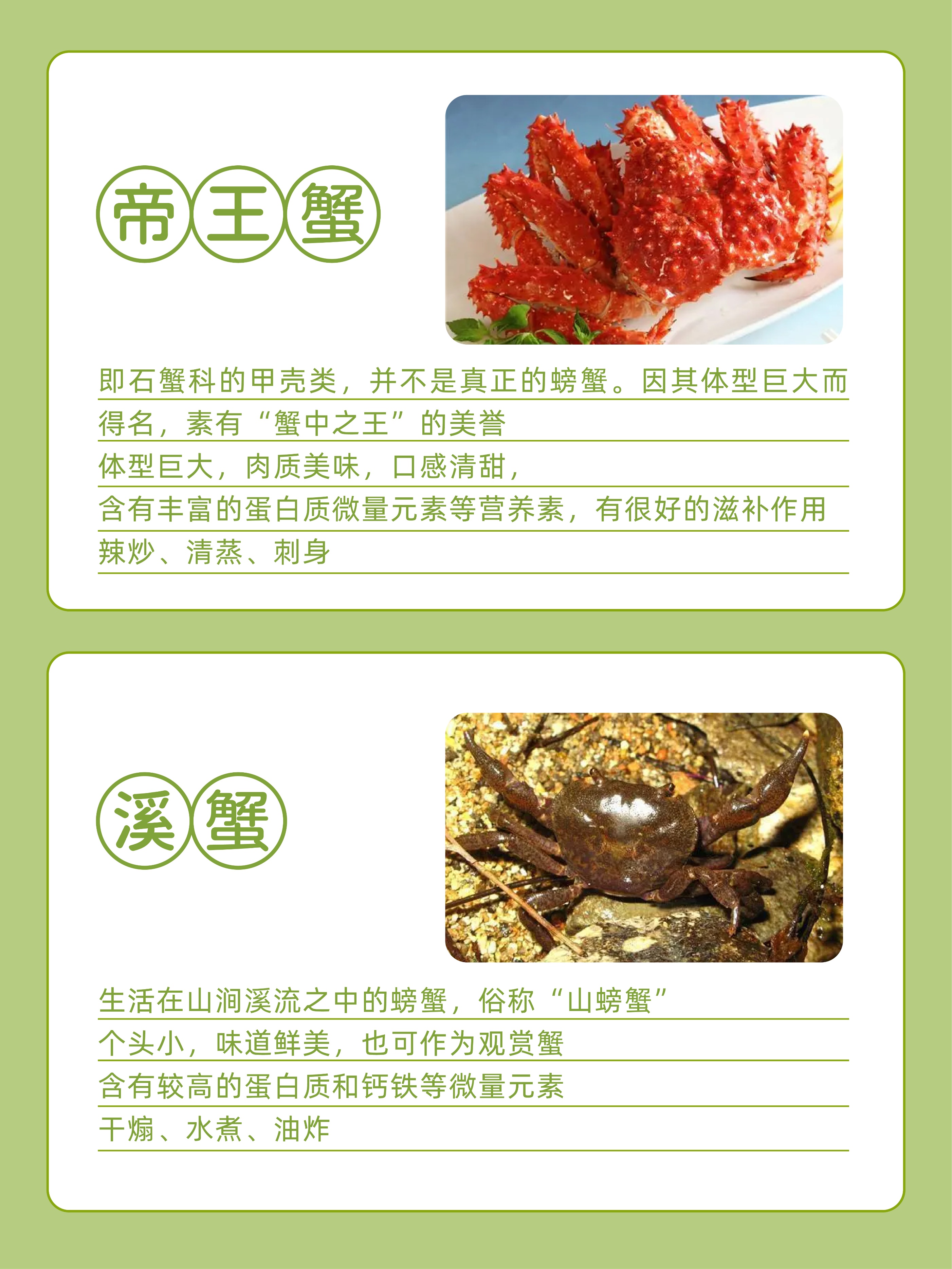 螃蟹的分类和食用方法,三亚常见的螃蟹种类