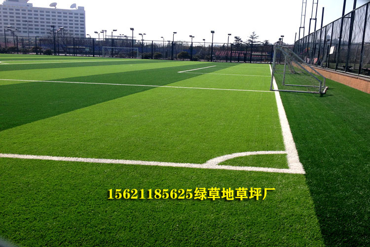 足球场假草皮多少钱,假草皮足球场多少钱