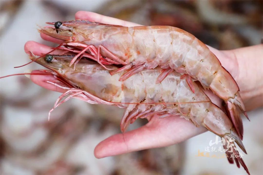 这就是威海,威海这几天天气