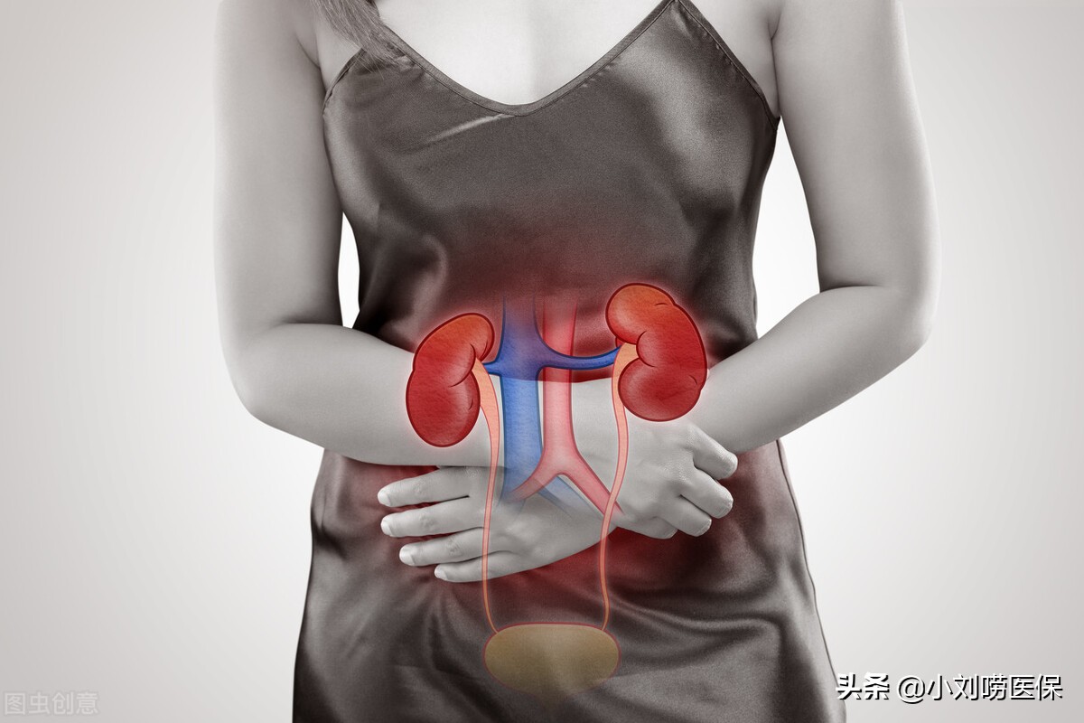 慢性肾病特殊医保怎么报销,慢性肾病最新报销标准