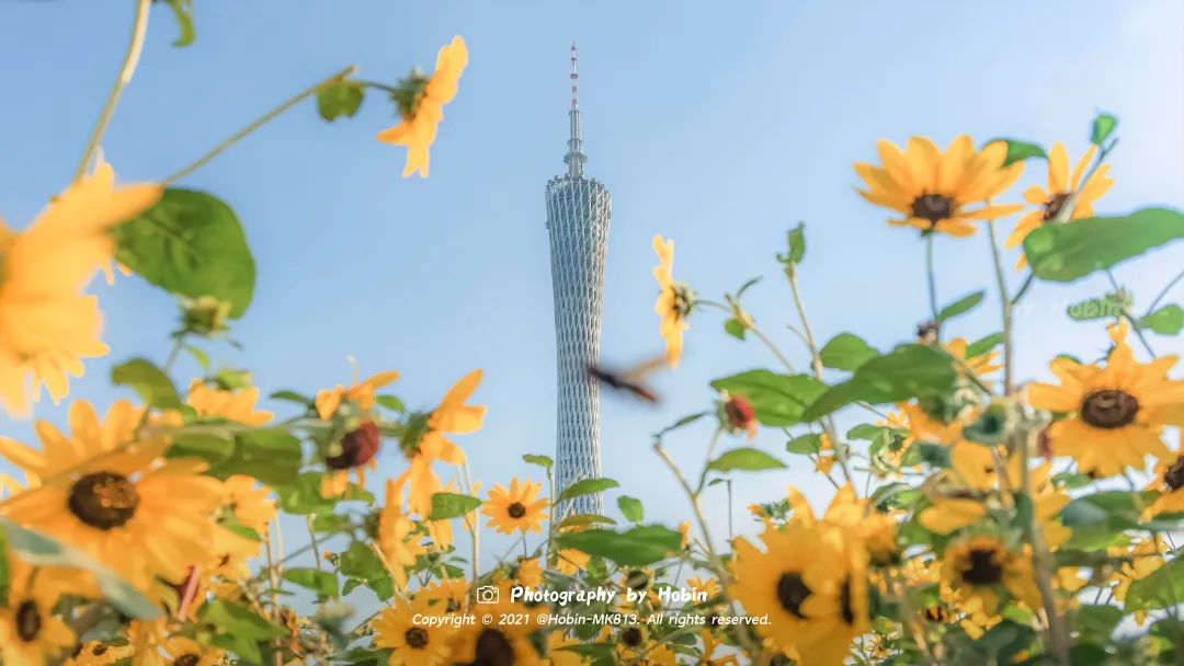 特种兵旅游第一人,八泉峡特种兵旅游攻略