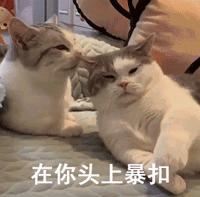 涂一下就可以？“液体避孕套”真的靠谱吗？