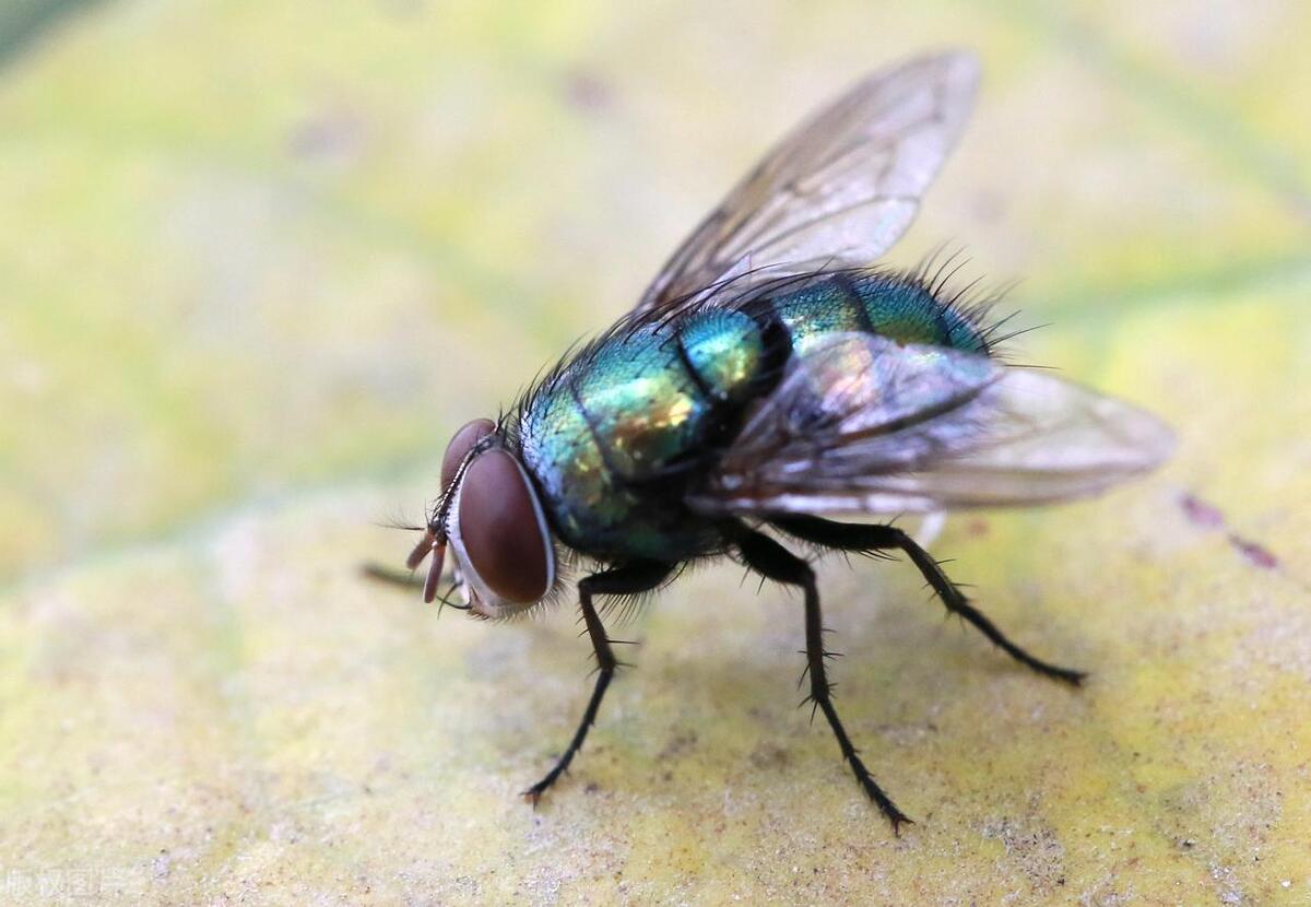 这4个东西看着很干净，可以放心给孩子用？小心是卫生刺客