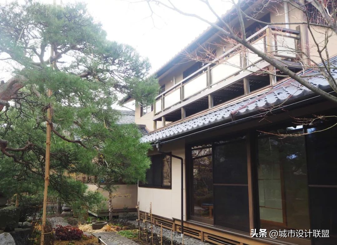 乡村振兴和乡村治理典型经验,乡村治理的发展与创新