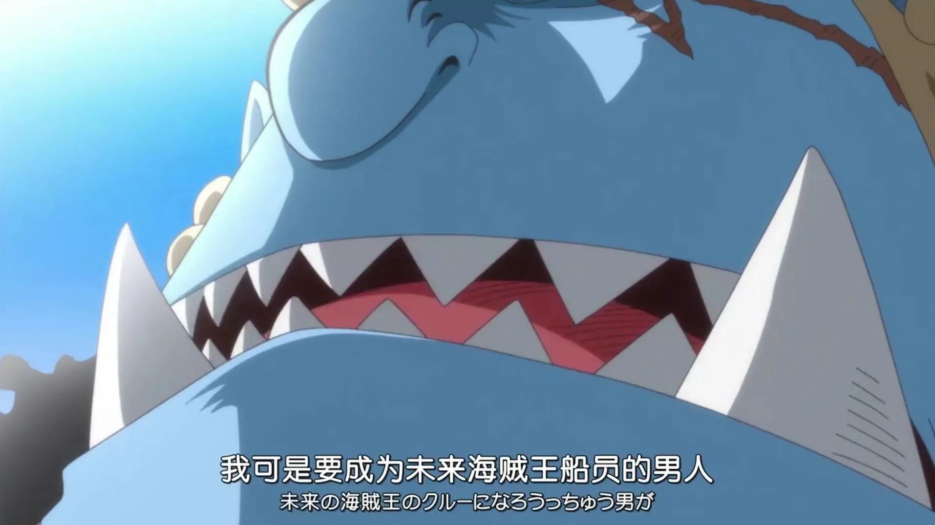 航海王各集名字,航海王精彩集数电视剧