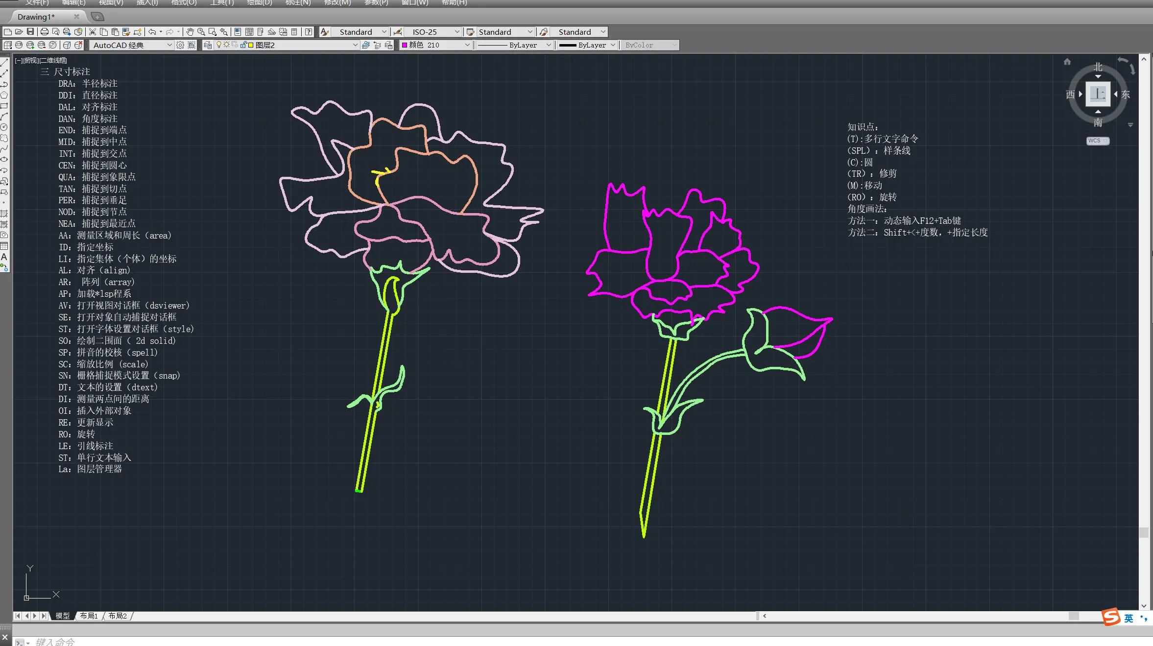 cad中水平镜像命令怎么用,cad命令画树池的快捷键