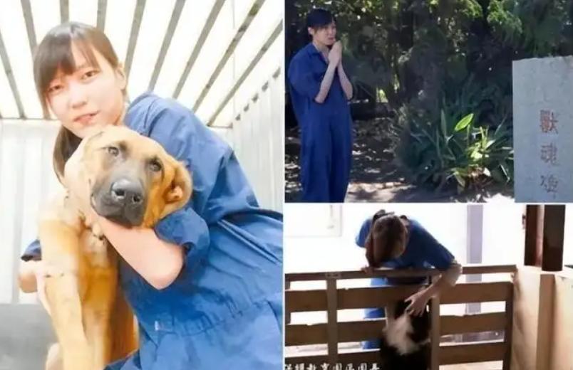 台湾女孩简稚澄,台湾女子给狗狗安乐死
