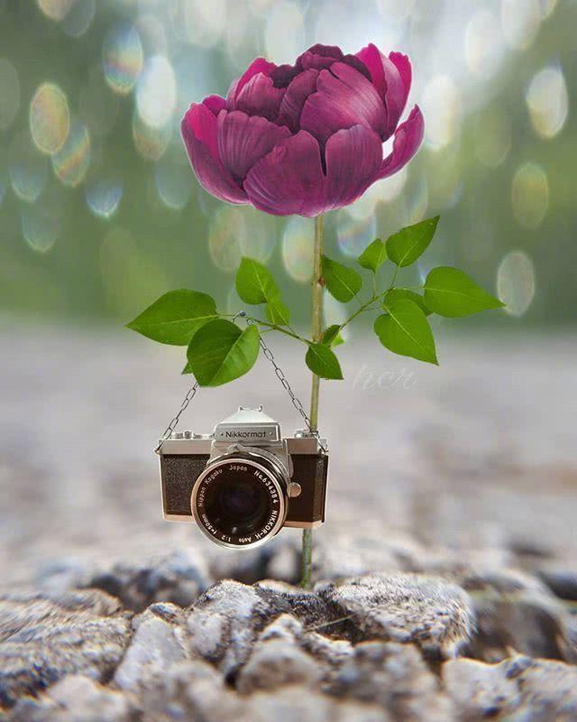 孤独寂寞伤感经典句子朋友圈,一个女人在他乡孤独伤感的句子