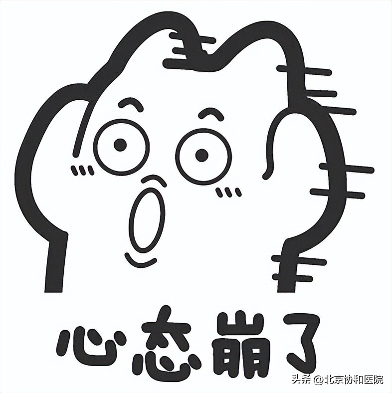 鍗忓拰鏄熷師璁″垝,鍗忓拰鏄熷師璁″垝椤圭洰鎴愬姛