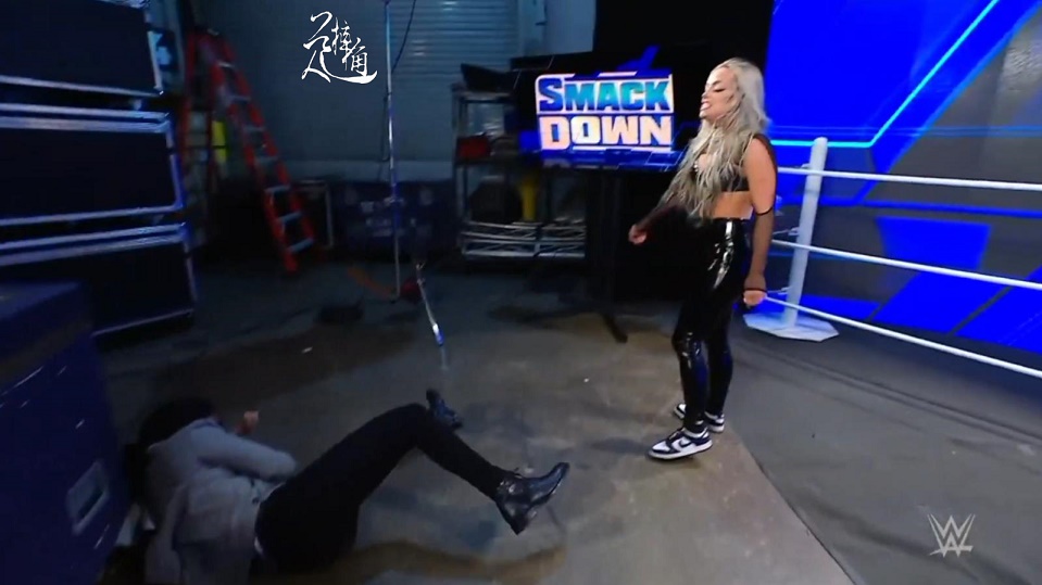 wwe雷尔转会,wwe最新一期雷尔