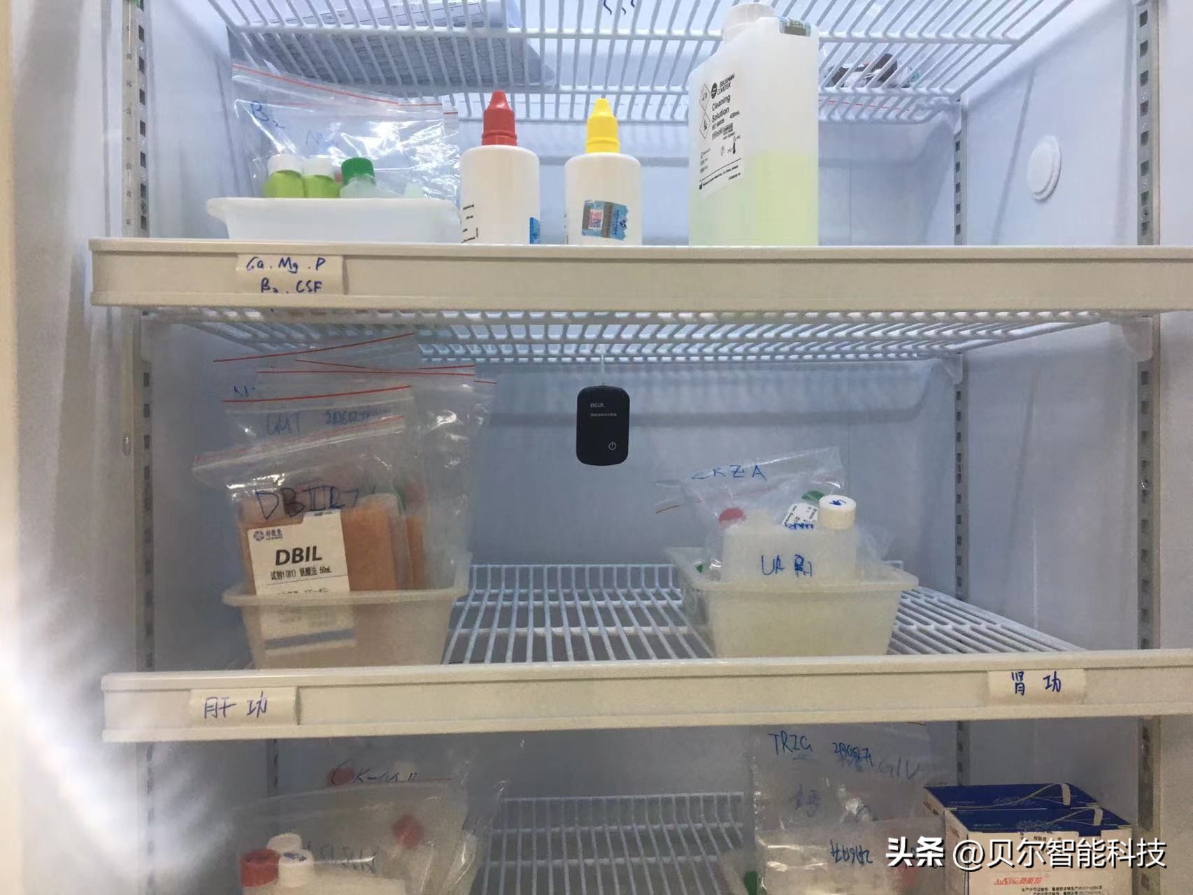 贝尔科技公司,贝尔科技是做什么的